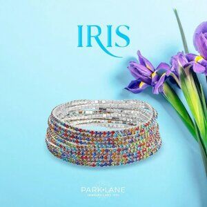 Park Lane Jewelry IRIS Bracelets Set of 10 Stretch Stackable crystal multi color